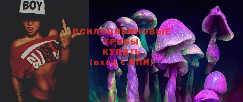 Галлюциногенные грибы MAGIC MUSHROOMS Дятьково